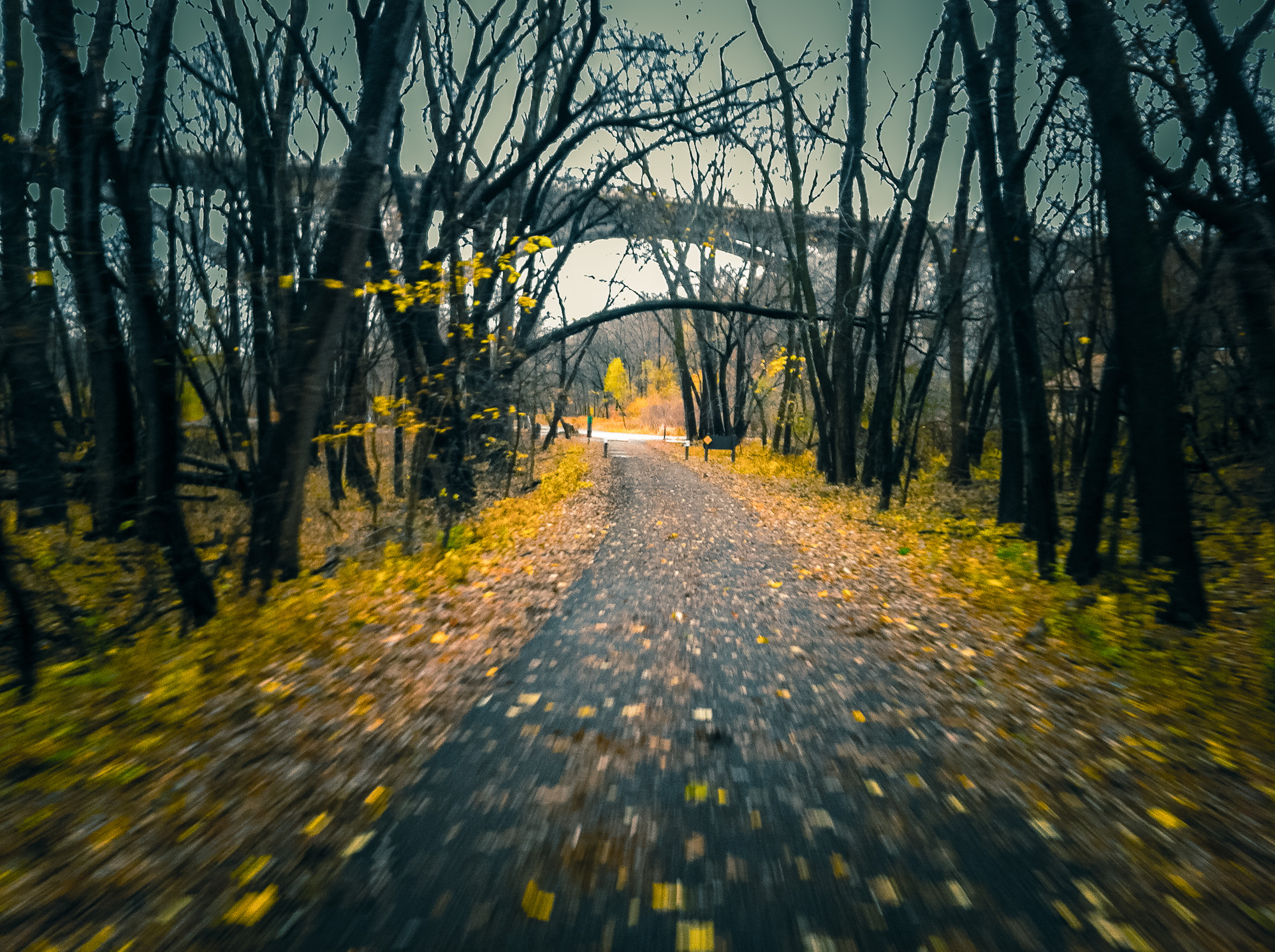 Yesterday morning the first snowflakes of the year fell mixed with rain and wind. The rain stopped by the afternoon, turning to classic damp gray fall weather. It was a perfect setting for an epic fall ride. With a day out of the MPR office, and few looming deadlines, I had a wonderful ride down past Fort Snelling, before looping back across Mendota Bridge to explore northern tip of the River Bottom trails. This is a iPhone snap from the ride. It was a great trail for a cyclocross adventure.
