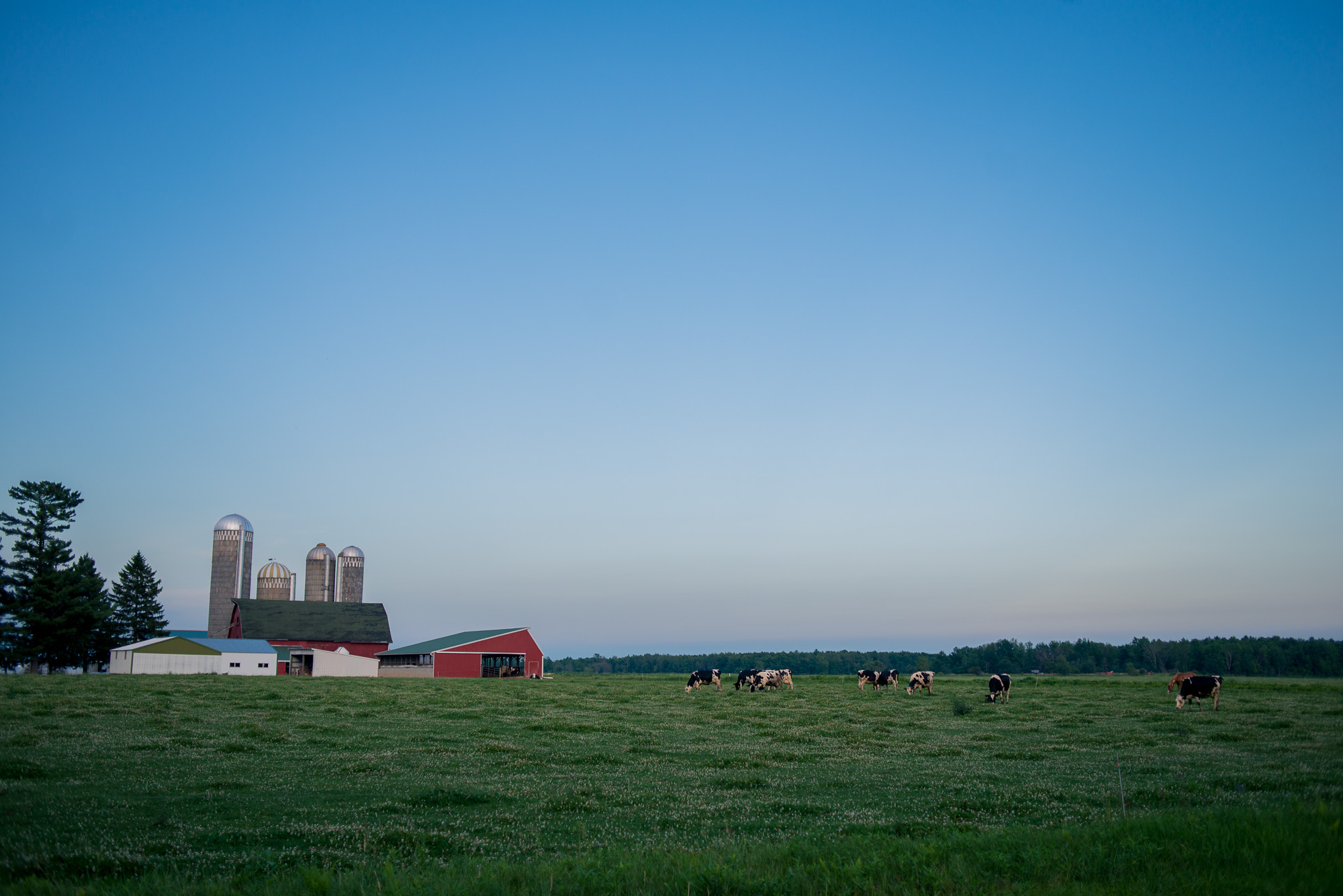 I spent the last weekend in Wisconsin with my grandma and extended family between Owen and Greenwood, WI. I somehow hadn't been to visit the old farmhouse my grandma still owns and the other farms of extended family members since I was about 12 years old. It was a nice weekend, and I'll post a few more photo later this week, but to start this is a shot from along the gravel lane heading to the old farmhouse.