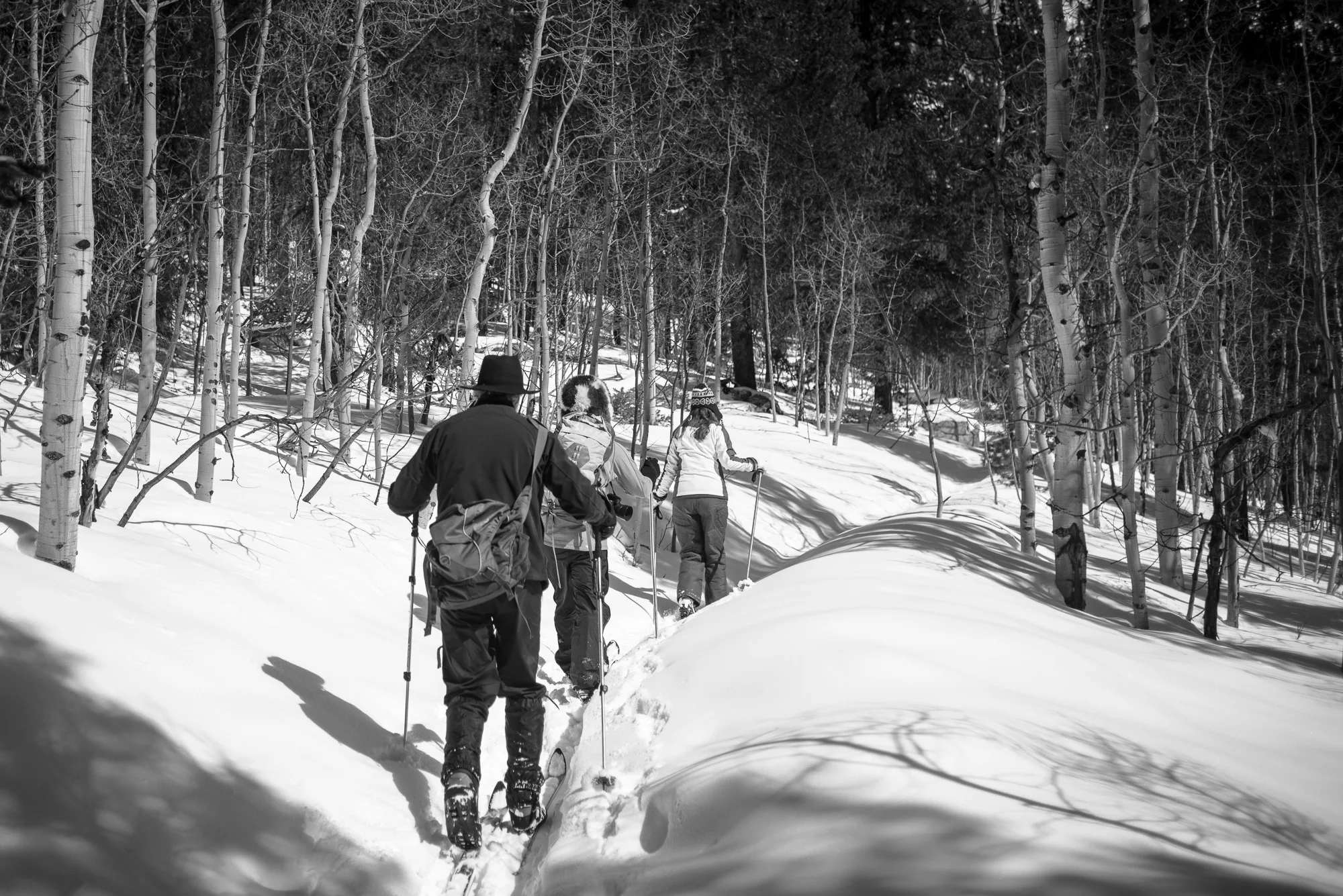 _DSC5780.jpg