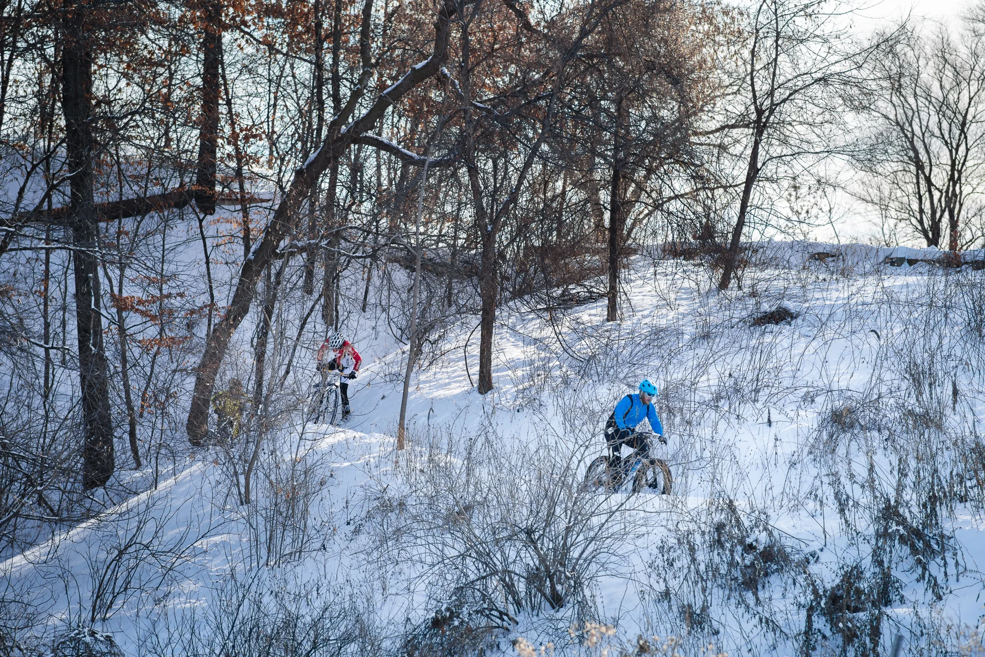 _DSC0849.jpg