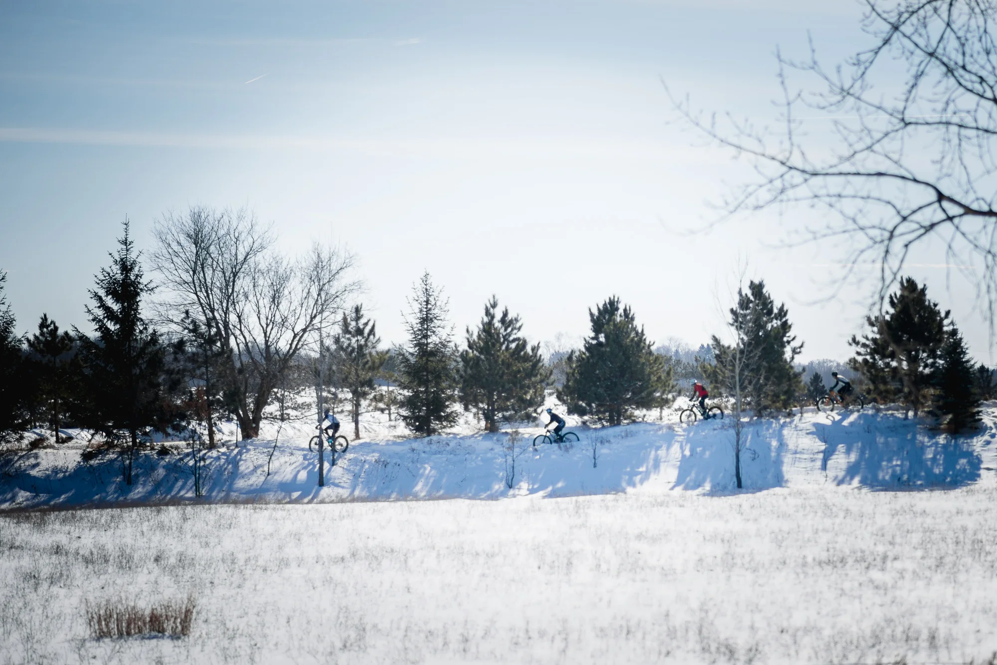_DSC0559.jpg