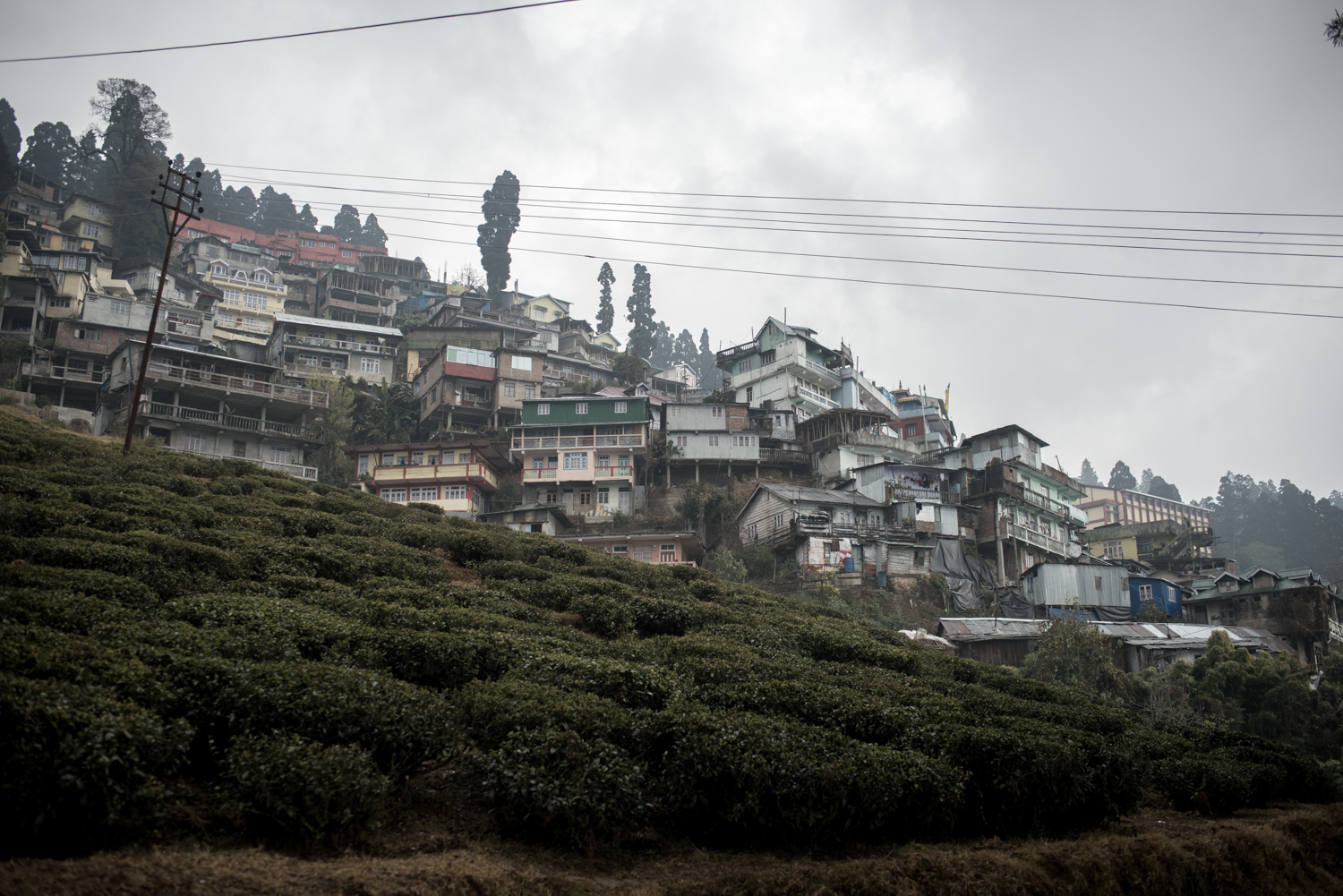 darjeeling_03_7663.jpg