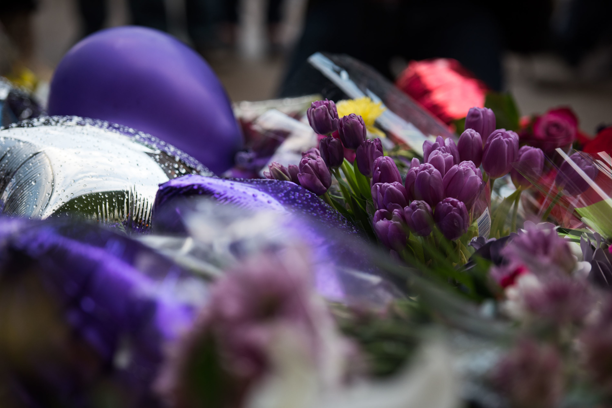 A tribute of flowers outside of First Ave bellow Prince's star in downtown Minneapolis. April 21st, 2016.