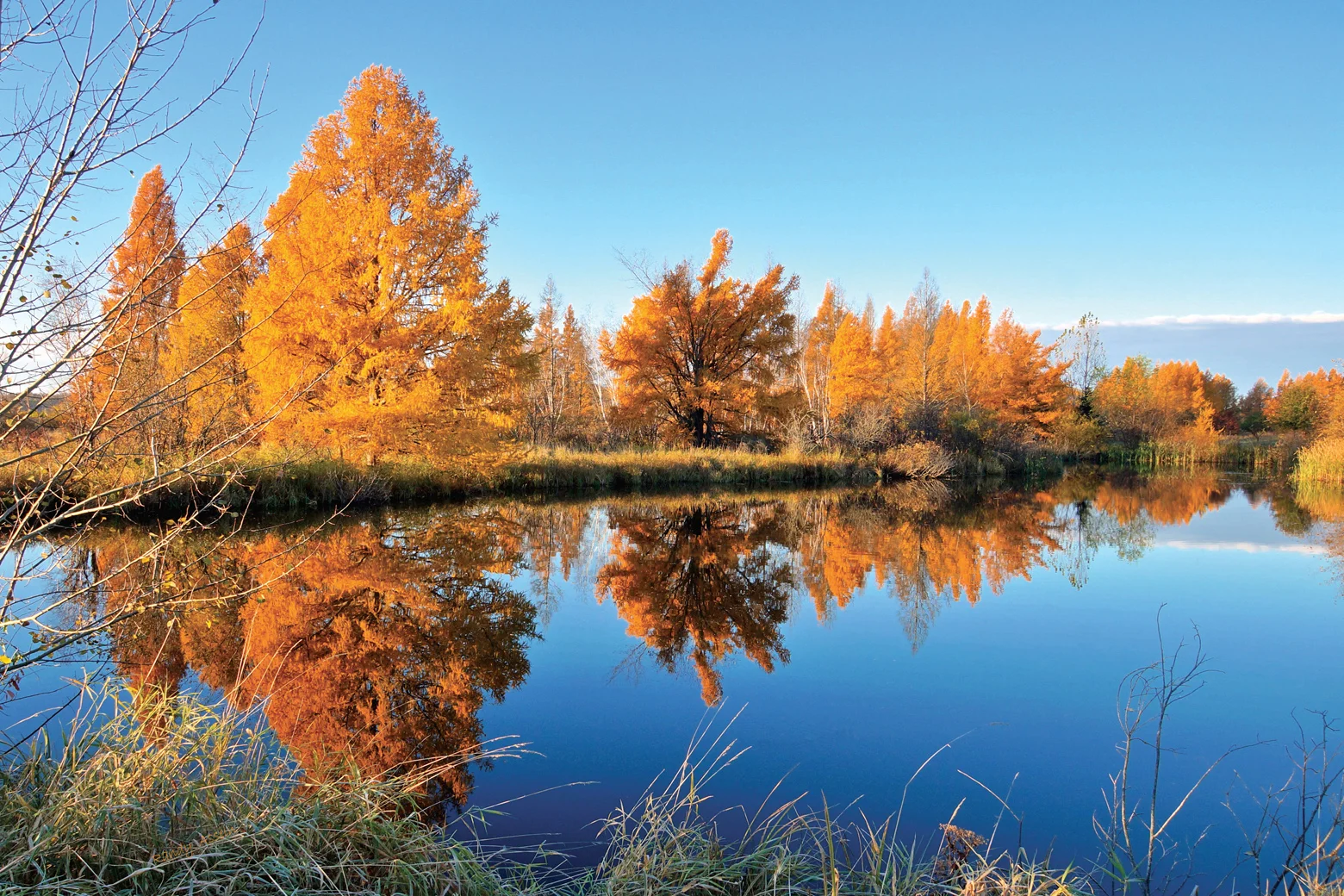 tamarack fall e-mail.jpg