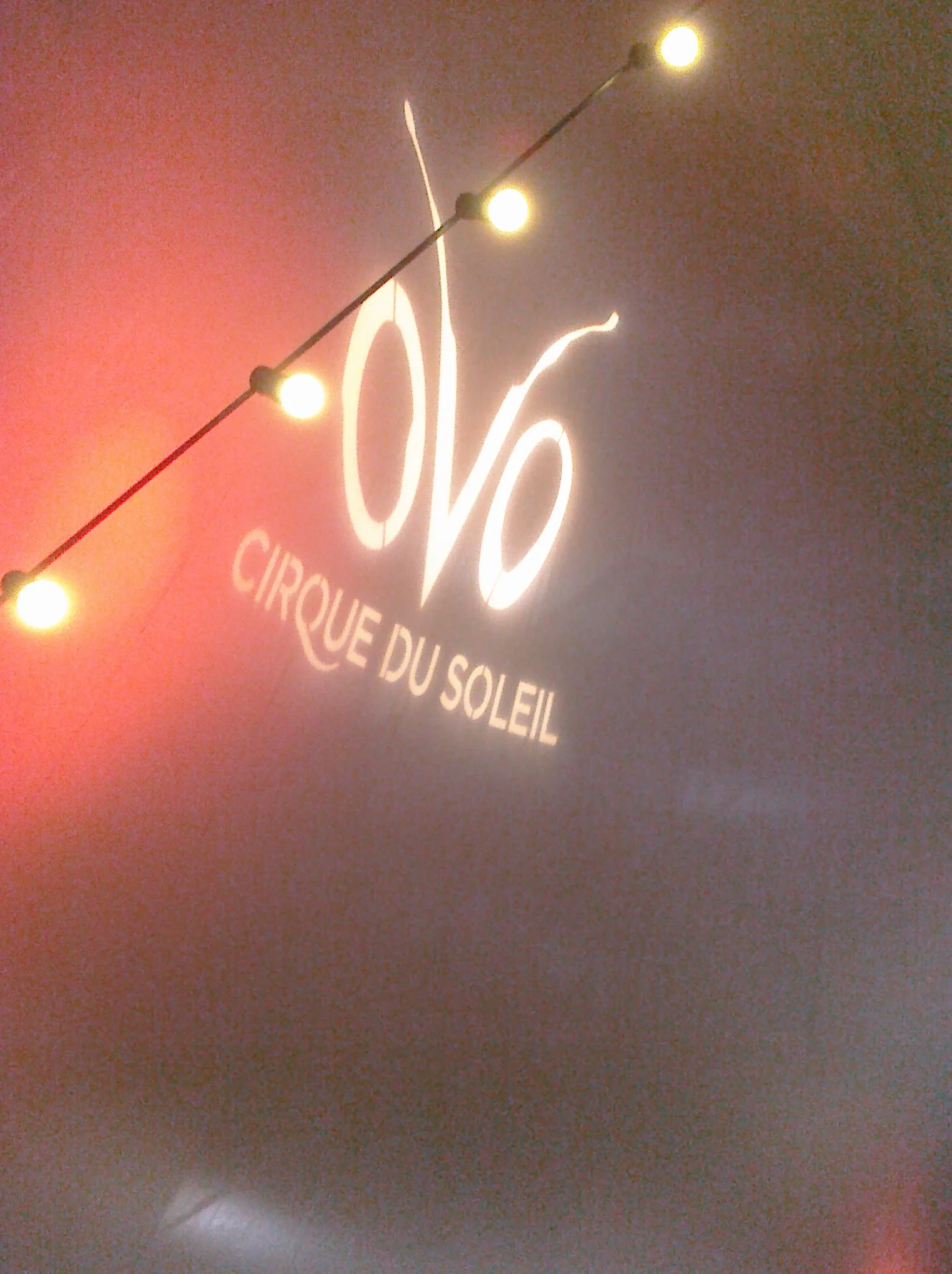 @ ovo w/ Mags, @cliu & @brently49