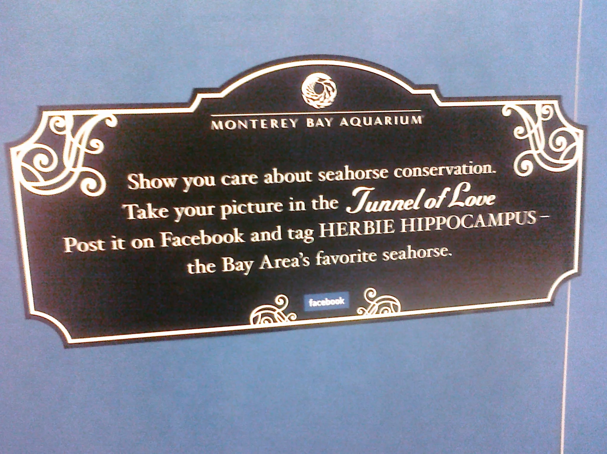 You realize they're fish, right?Thx,--dwf