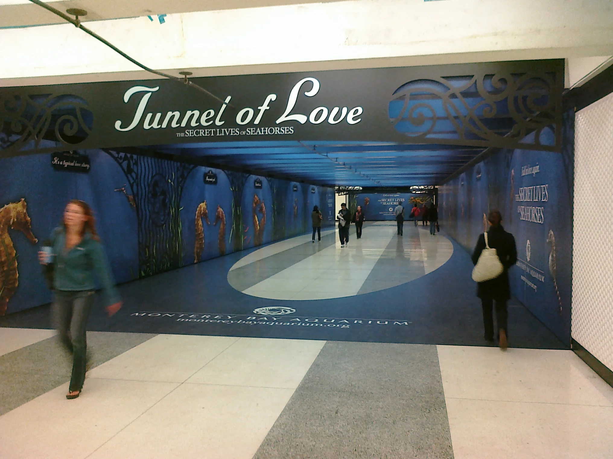 Powell @sfbart continues it's celebration of forbidden seahorse love.