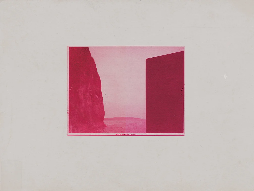 UNTITLED(MAGENTA FORM) Photo Transfer and Acrylic on Panel, 16 x 20 inches