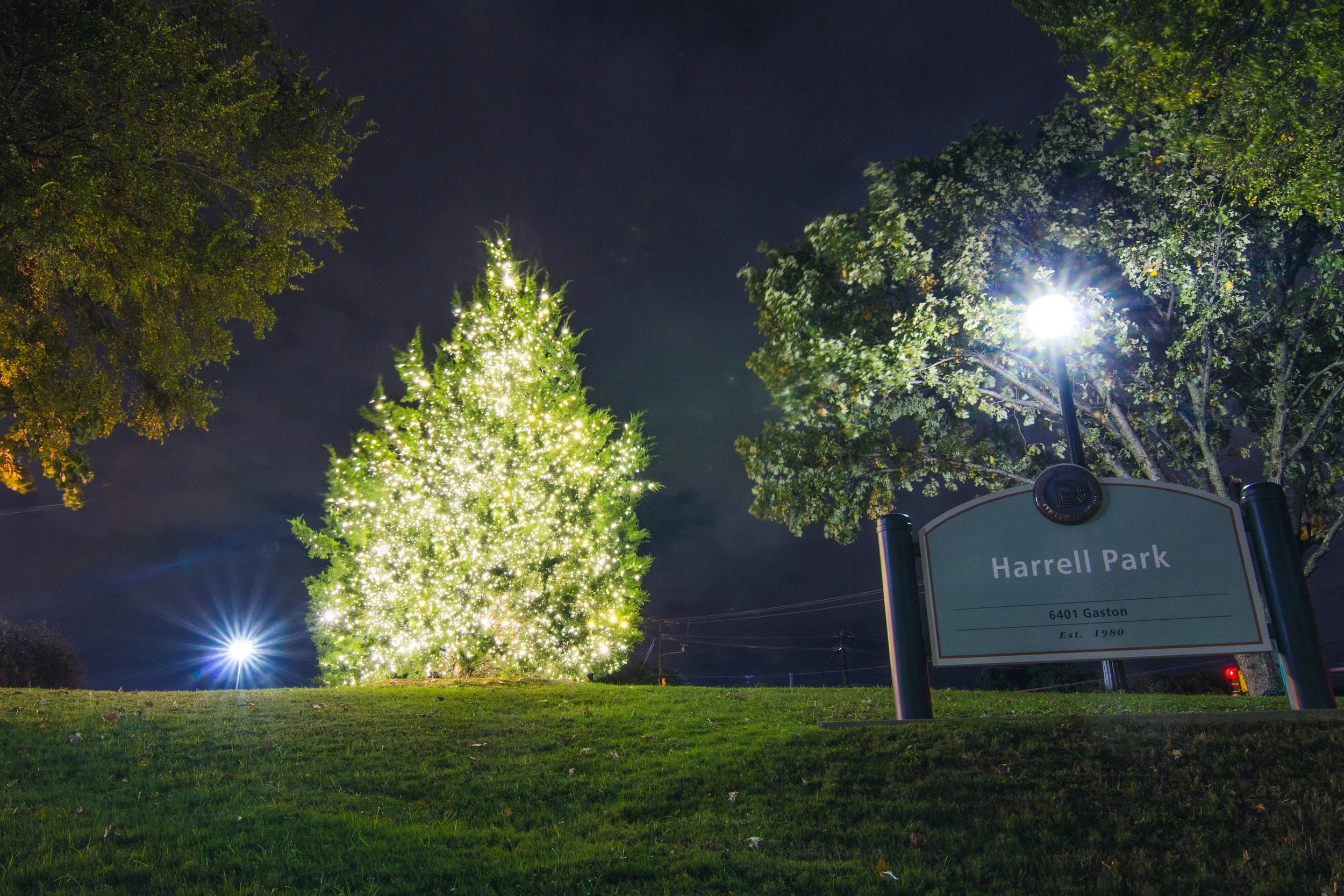 Patton's Christmas Trees & Decorations by Yvette