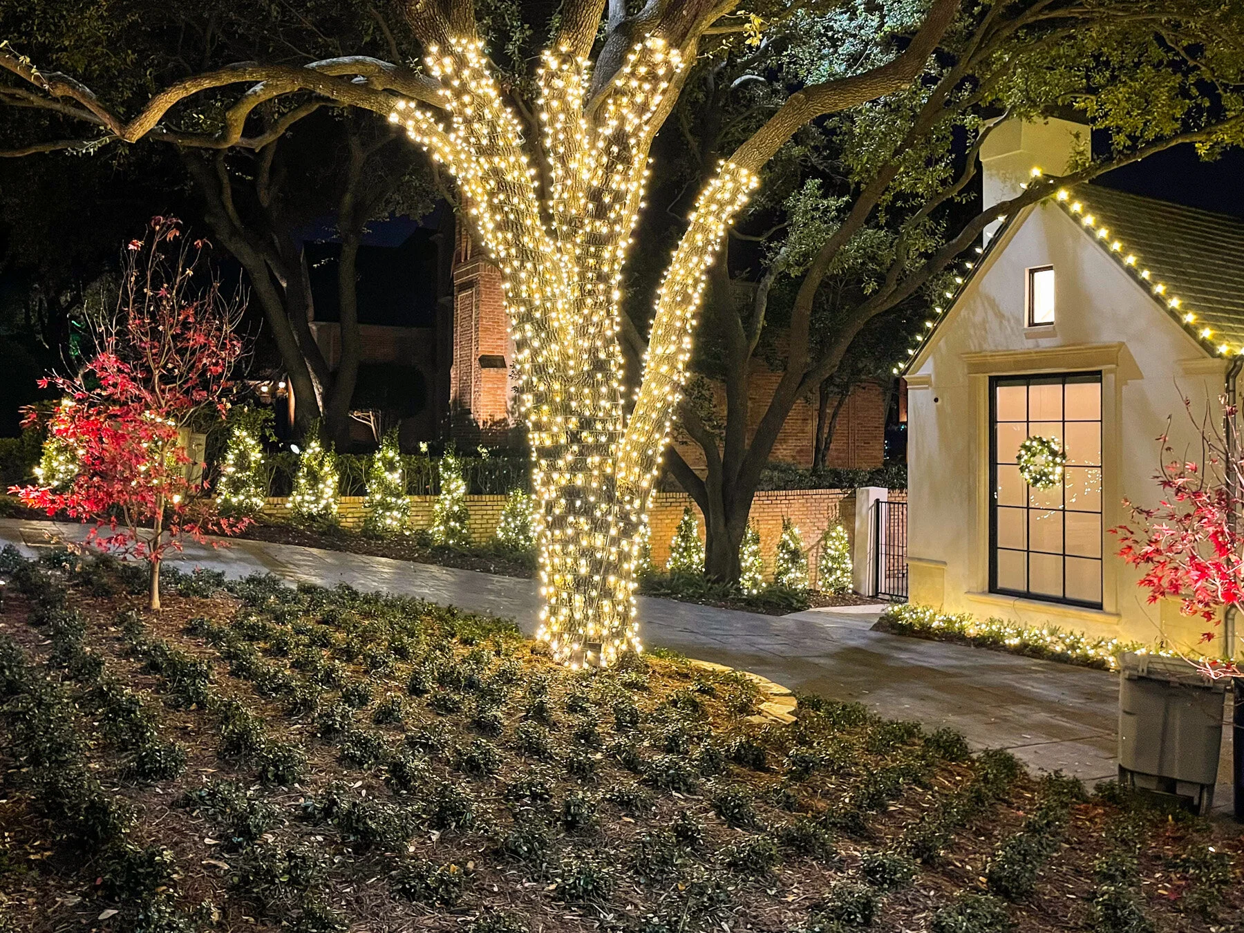 Patton's Christmas Trees & Decorations by Yvette