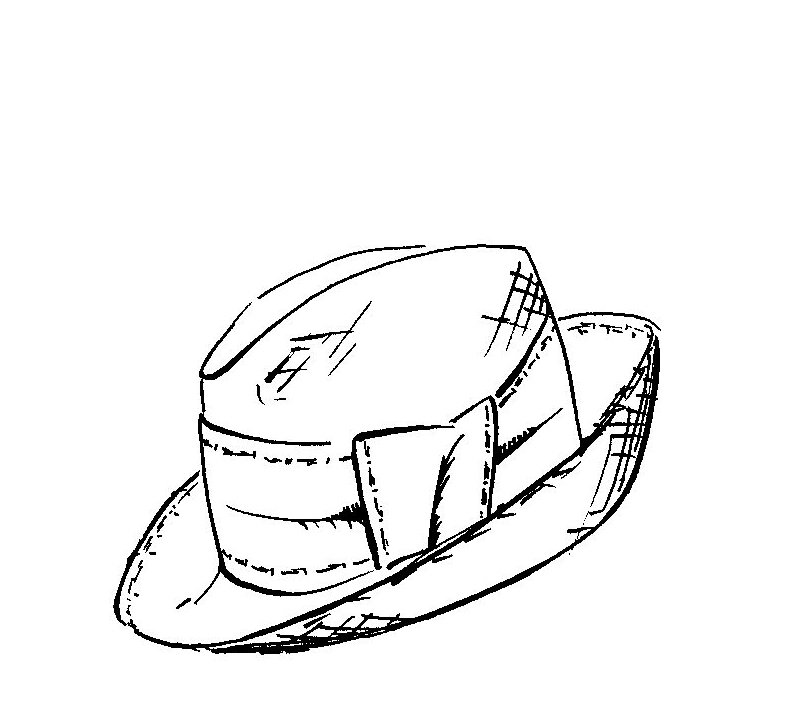 Fedora By request.jpg