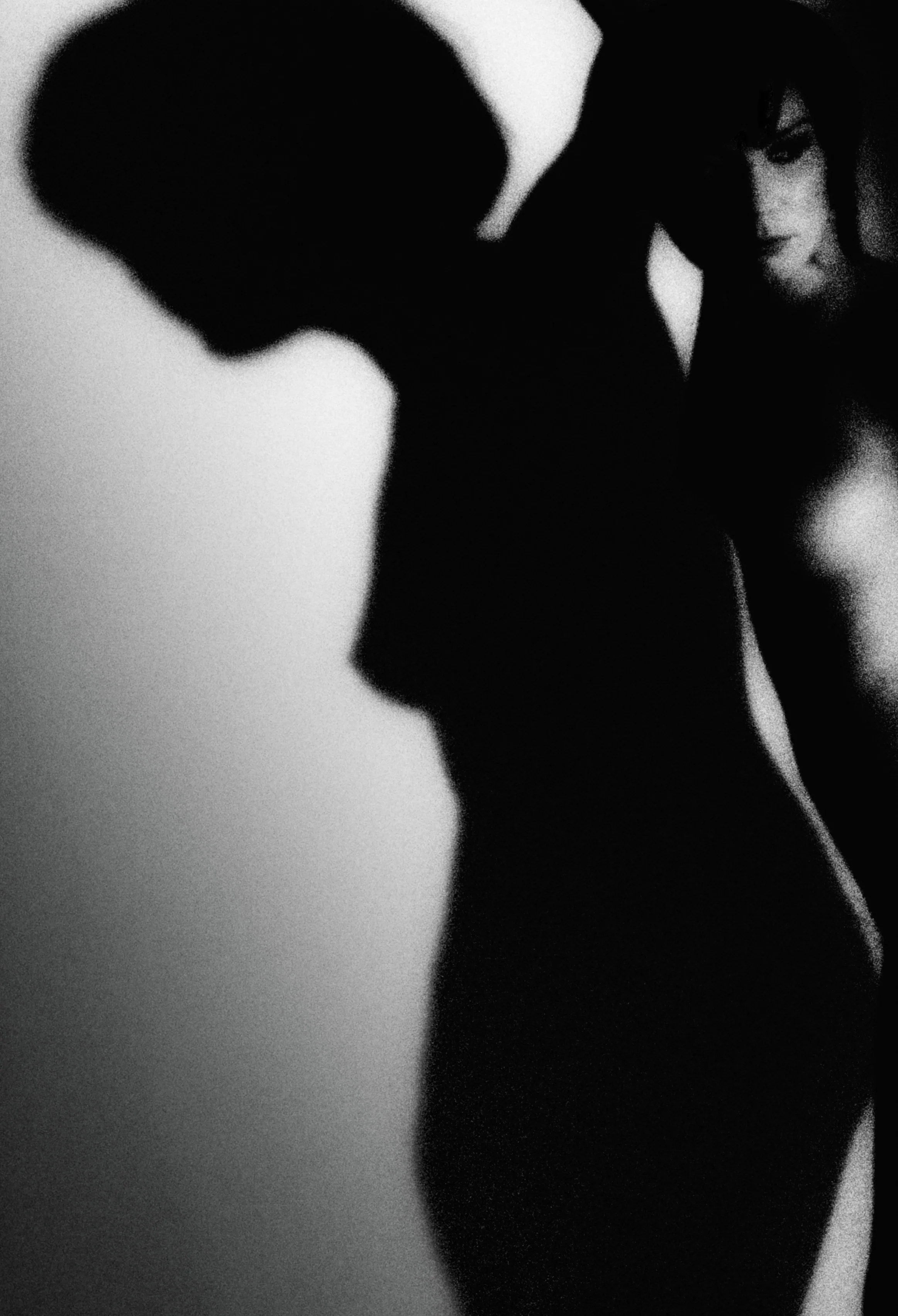 Stable shoot -3016-Edit.jpg