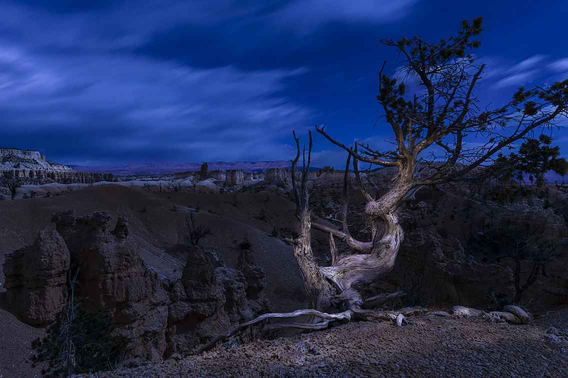 Arches NP-1581-Edit copy-2.jpg