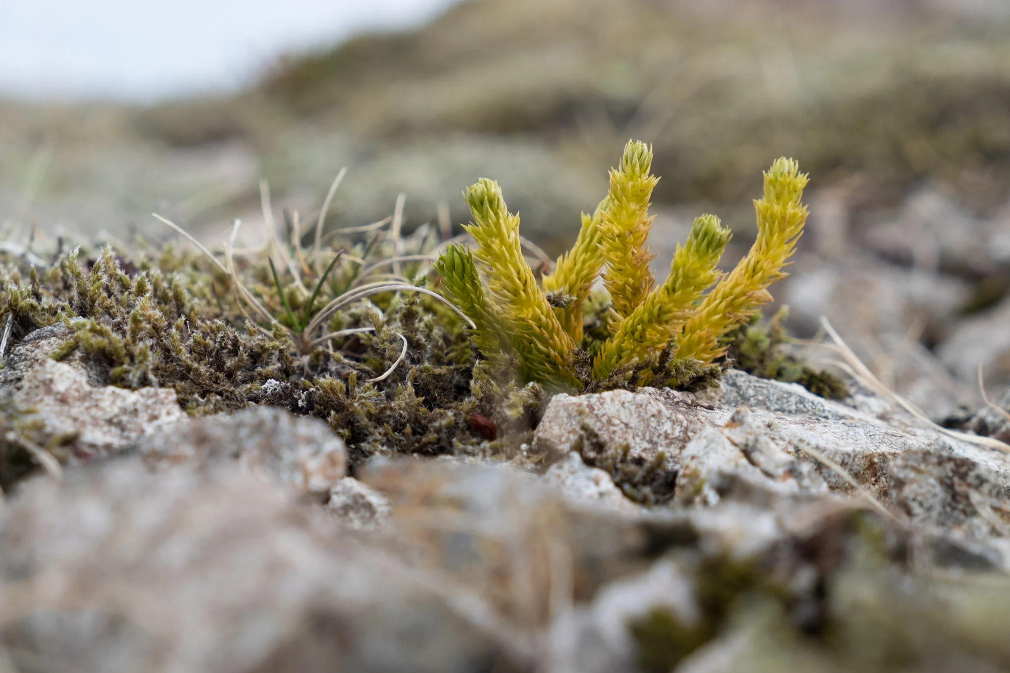 2016_May_untitled shoot_0017-115.jpg