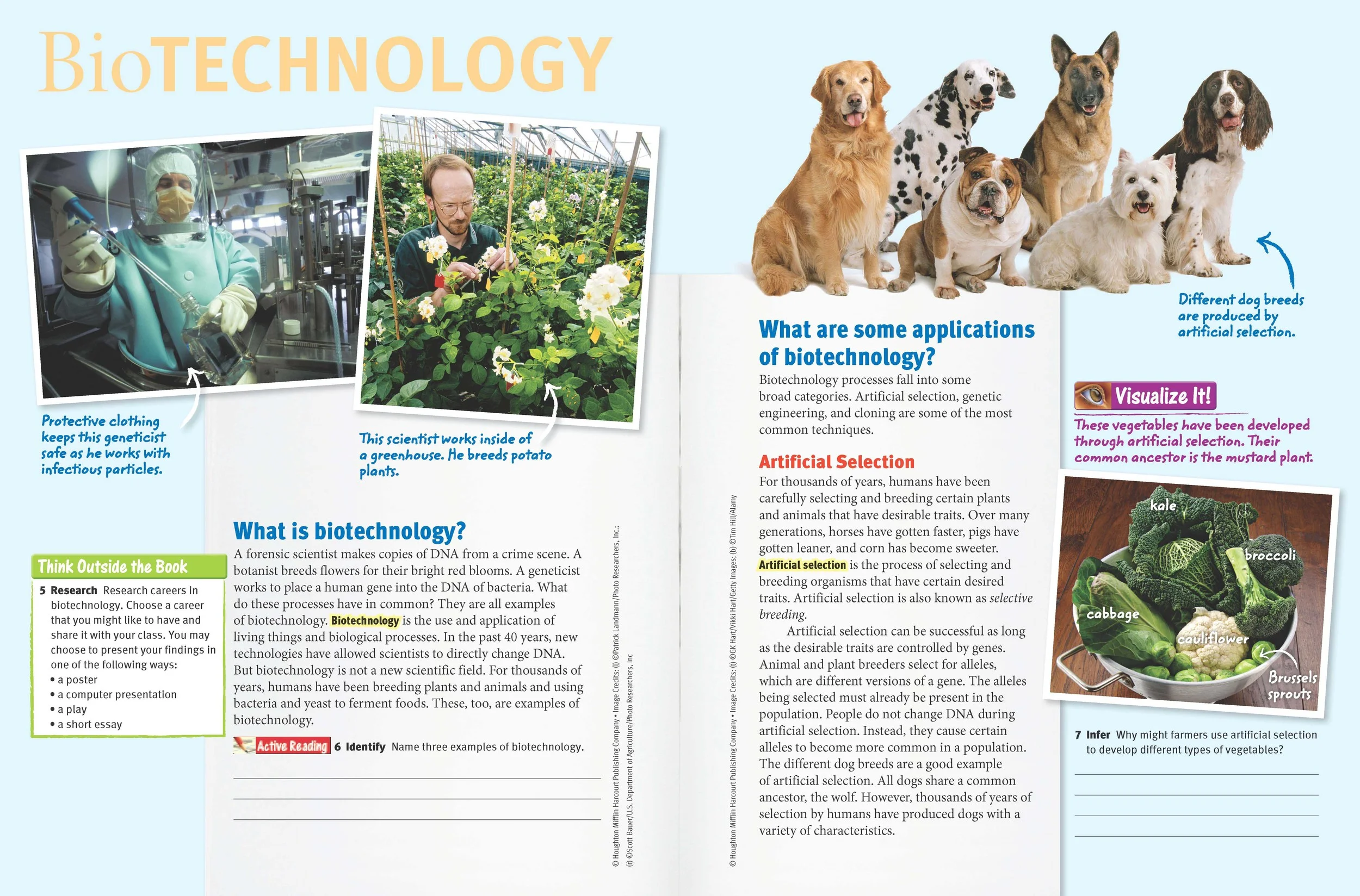 Middle School Science Program