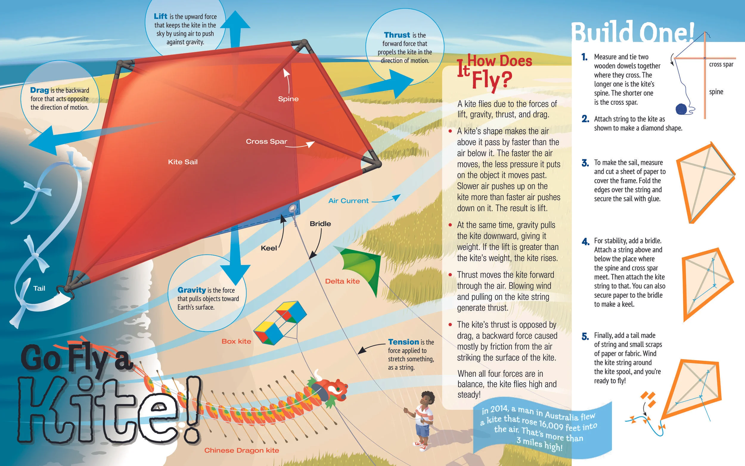 Kite_rough_16x10_MA.jpg