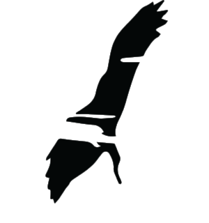 BIRD ONLY LOGO TRANSPARENT copy.png