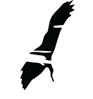 BIRD ONLY LOGO TRANSPARENT sml.png