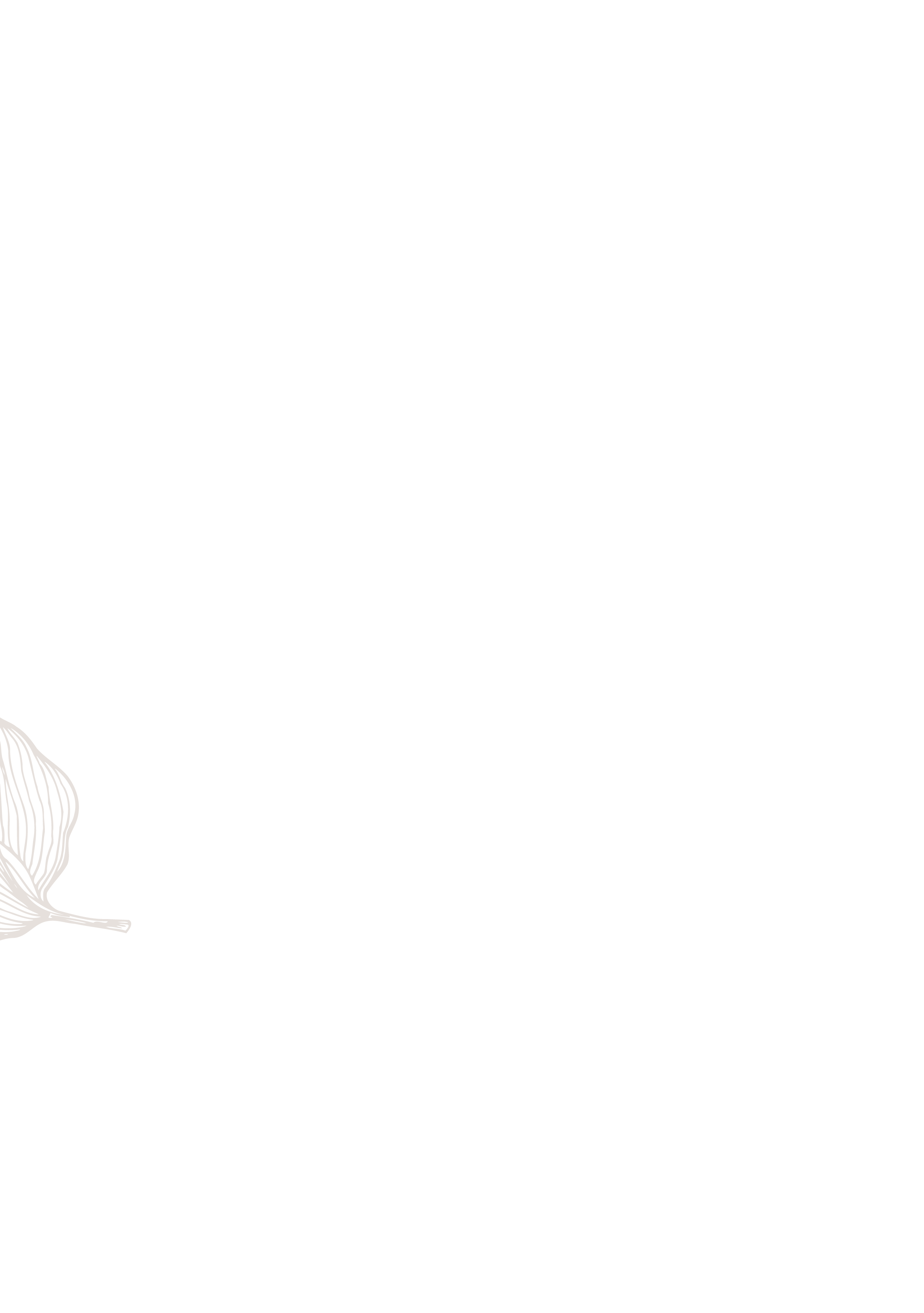 FCS_2019_website_background_01-07.png