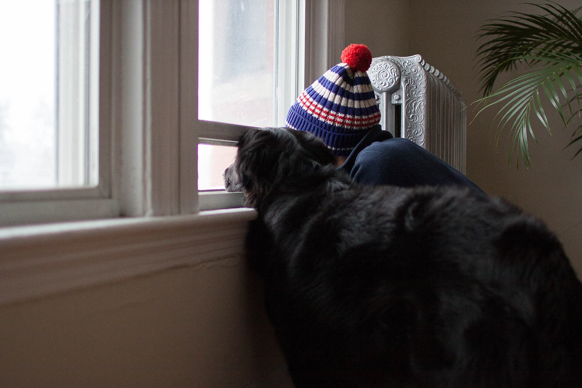 This window is where Baxter takes in the sights, sounds & sometimes smells of the great outdoors. We like to call it his doggie tv. :)