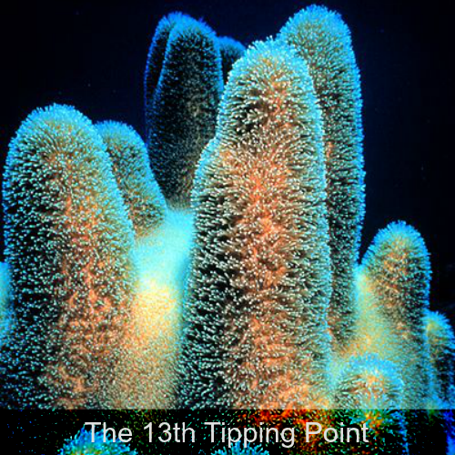 13th Tipping Point st.png