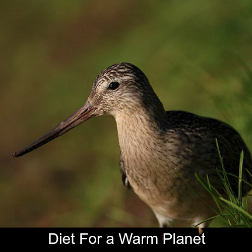 Diet for a Warm Planet st.png