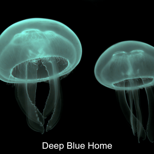 Deep Blue Home excerpt.png