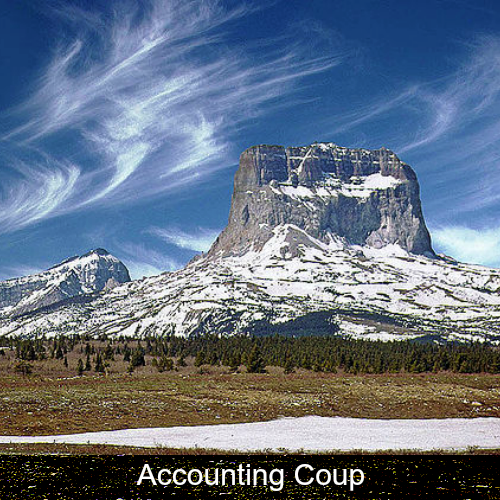 Accounting Coup st.png