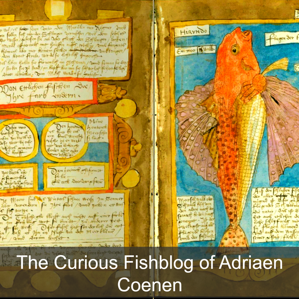 The curious fishblog of Adriaen Coenen.png