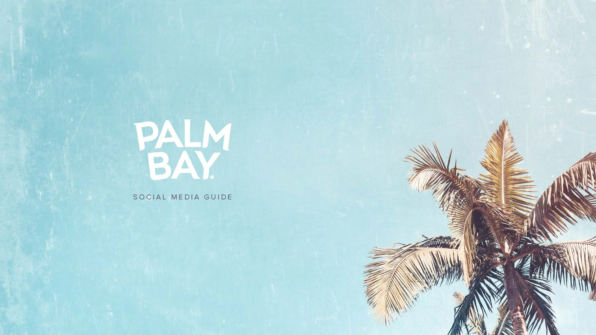PalmBay_SocialMediaGuide_V4_Page_01.jpg