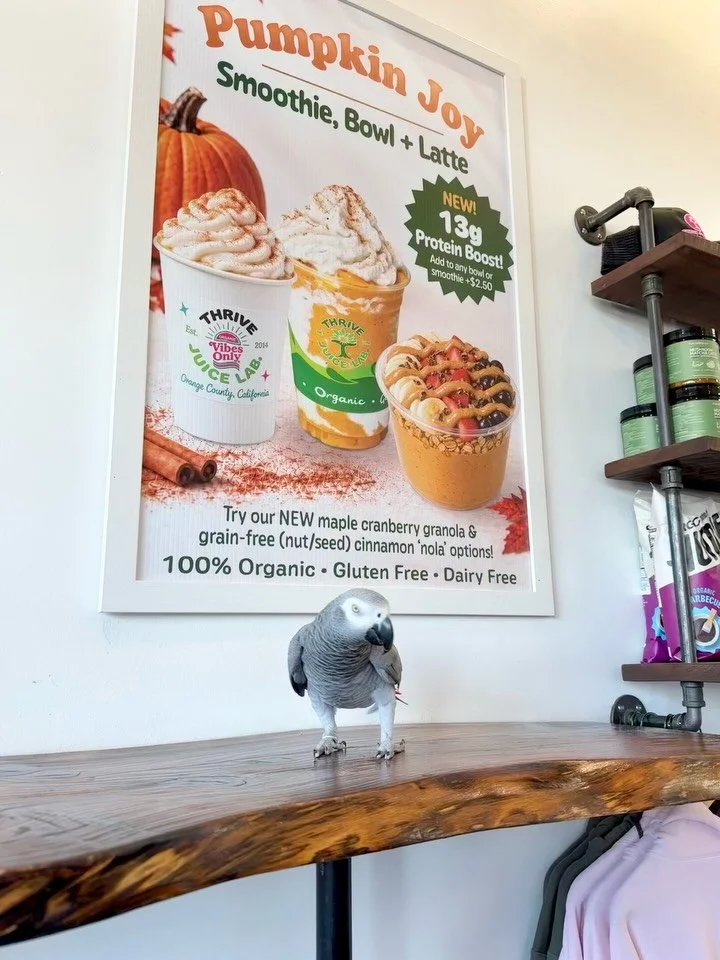 Us health nuts flock together! 
🐧🐤🌱
This is Kirby, she&rsquo;s 37 believe it or not! Guess what her secret is!? We&rsquo;ll give you a hint&hellip; (Thrive Juice Lab) 

#birdsofafeather #orangecounty #healthnuts