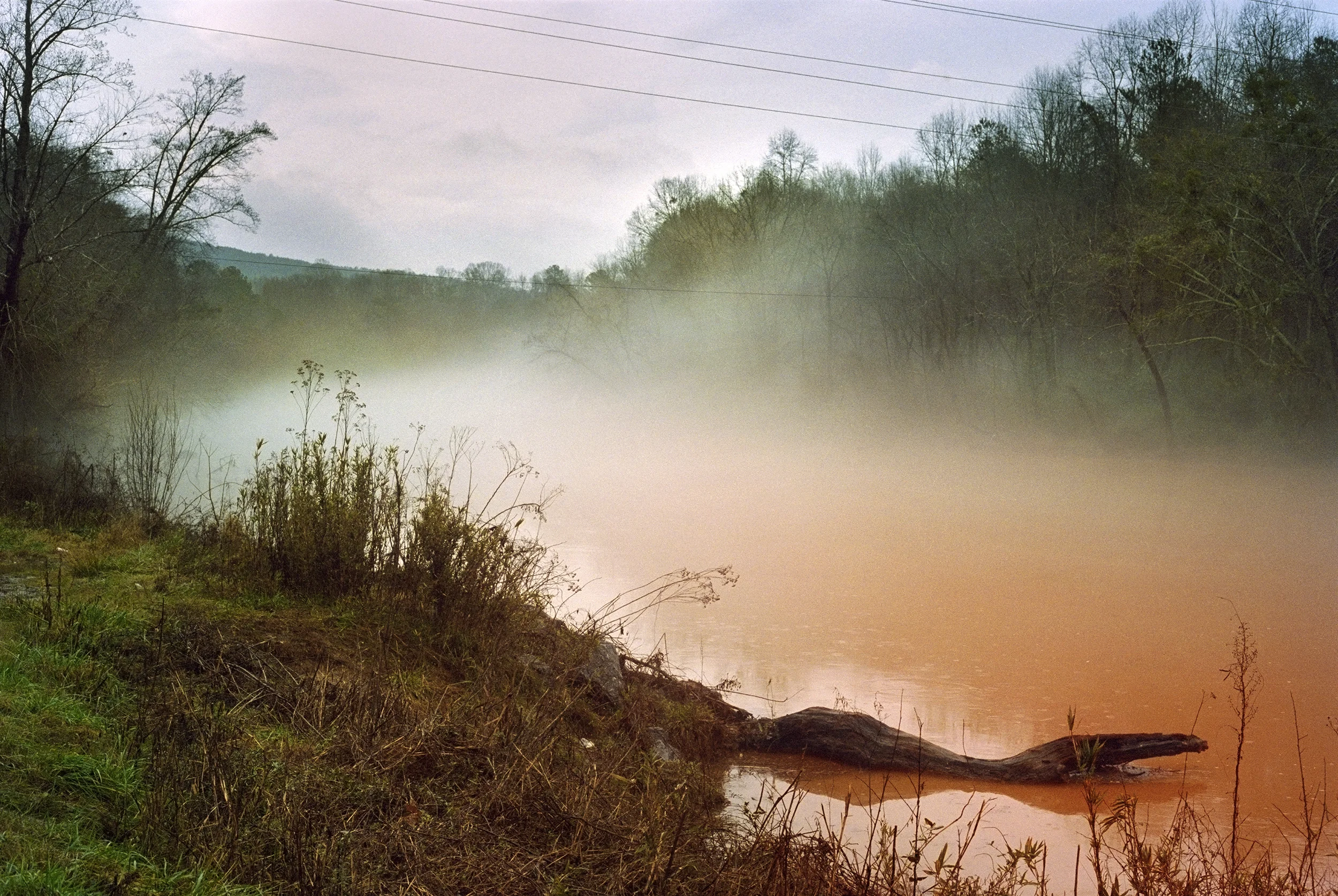 NewSongs002.jpg