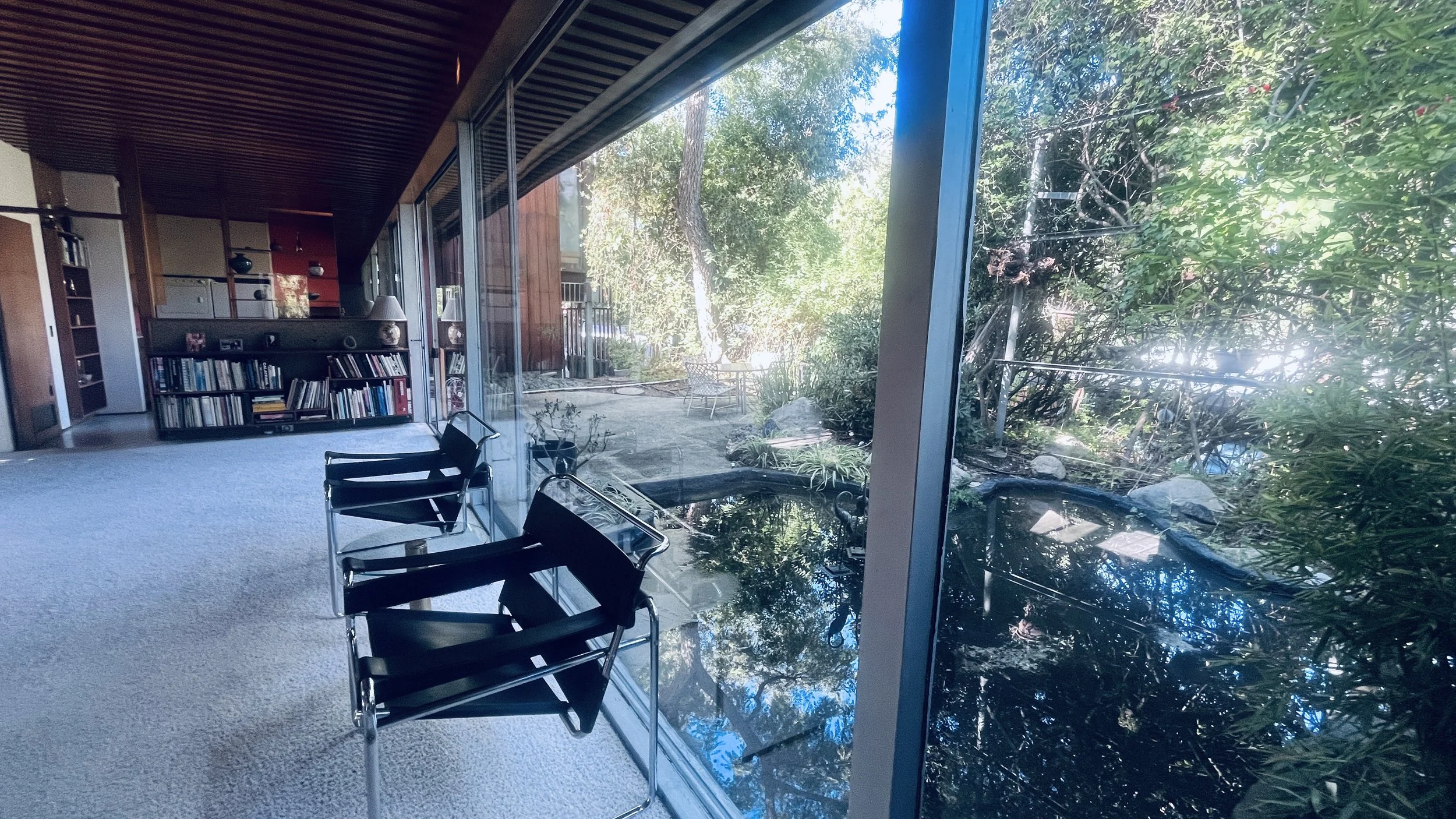 Neutra Place in Silver Lake, Los Angeles, a short hillside street of Richard Neutra houses half hidden behind overgrown plantings.