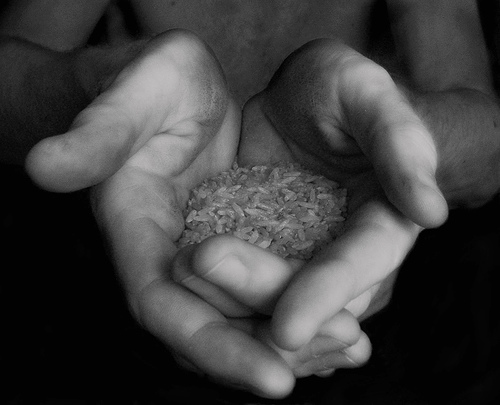 Be a farmer and spread your brand seeds