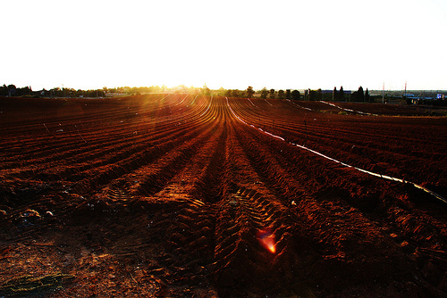 Be a farmer and spread your brand seeds