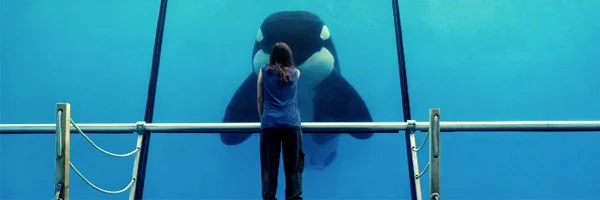 Rust and Bone 2.jpg