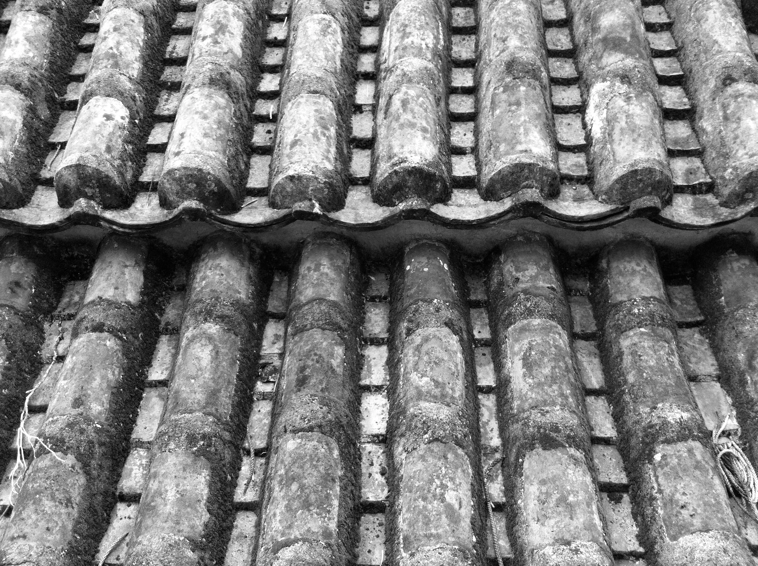 IMG_3100 - Version 2.JPG