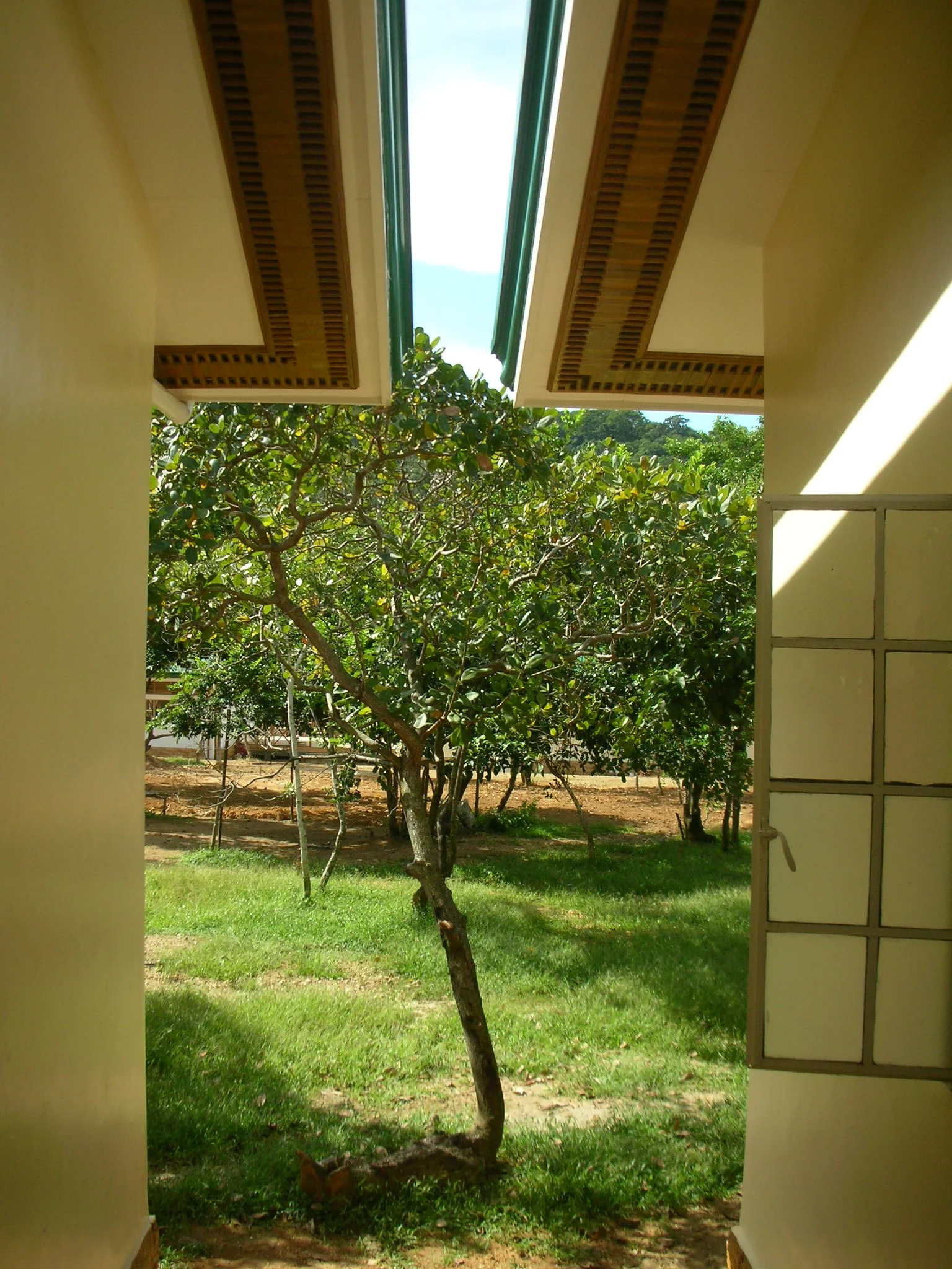 DSCN7019.JPG
