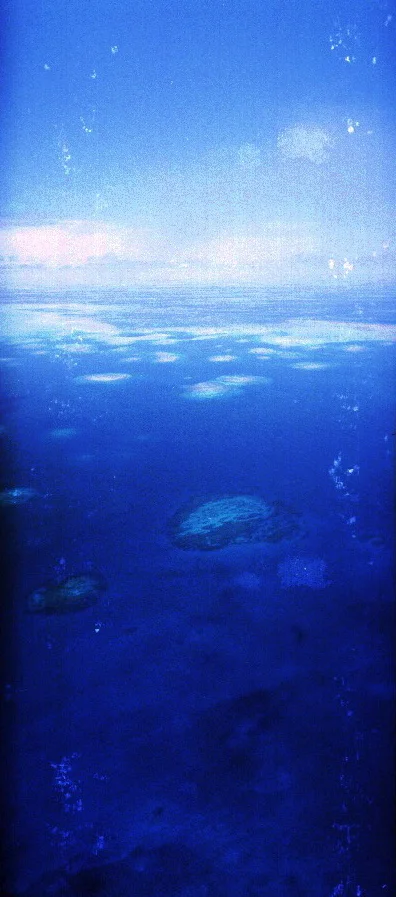 AA016_3.JPG