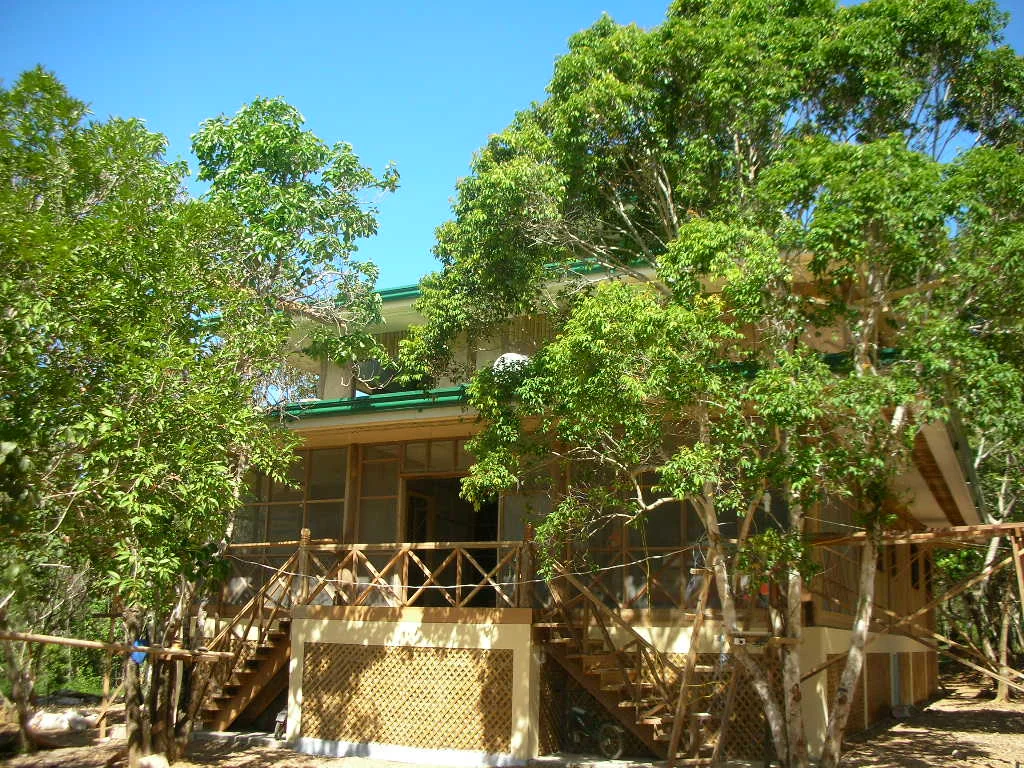 DSCN1284.JPG
