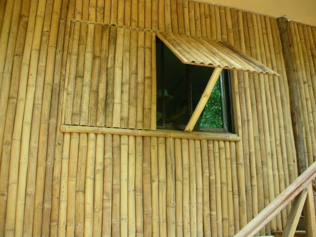 DSCN1394.JPG