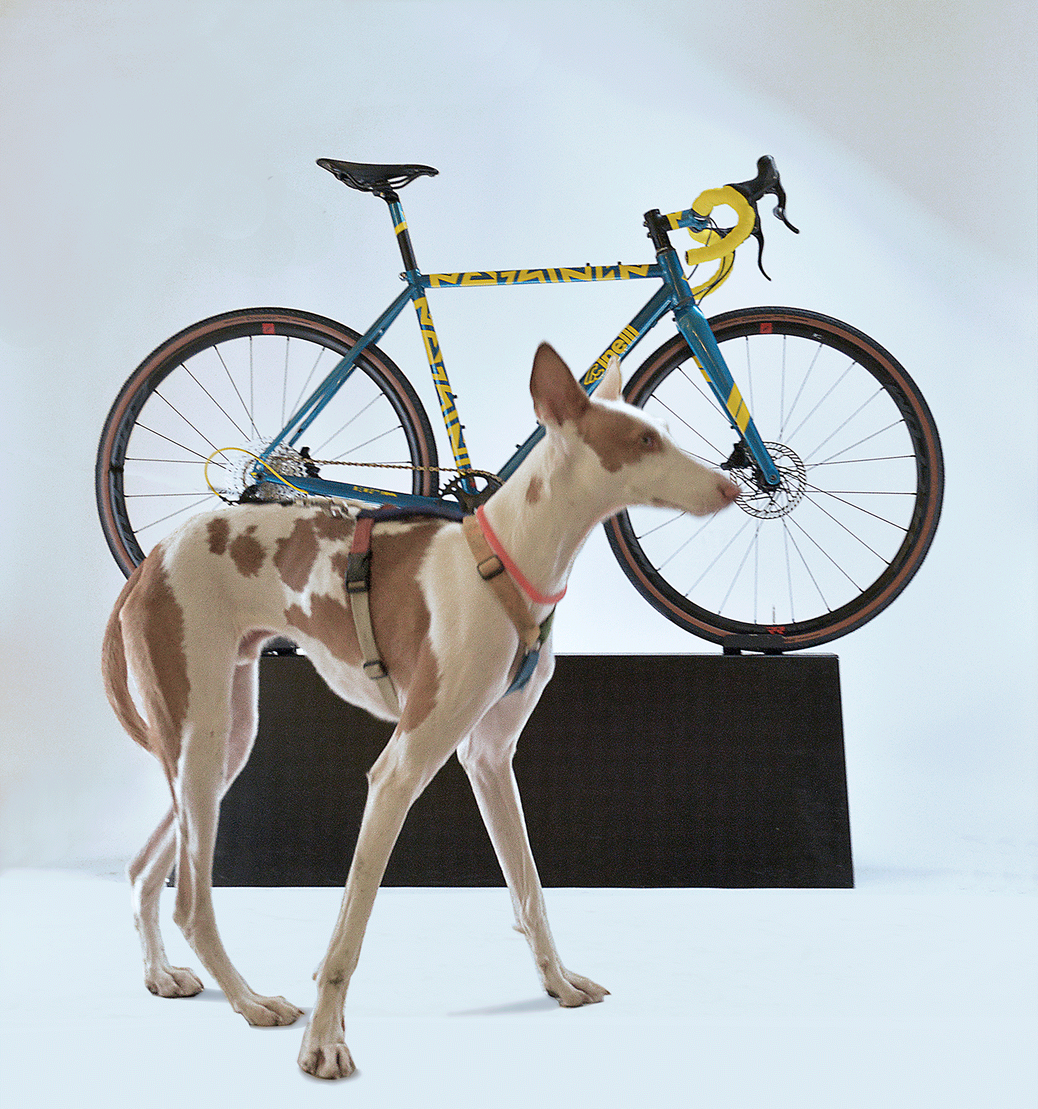 Cinelli Nemo Gravel Alessandro Mendini