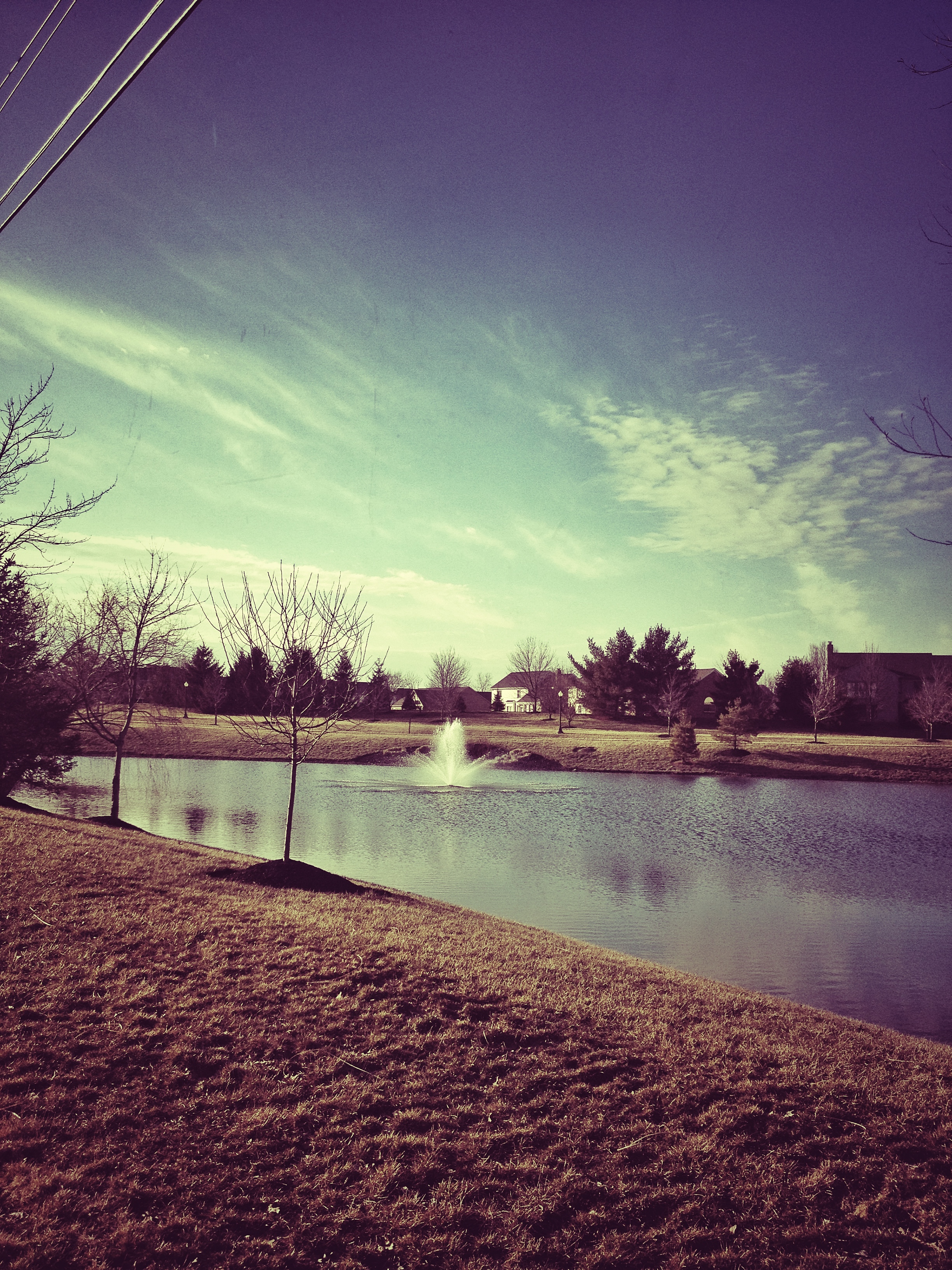 Snapshots from my 3/4 mile walk from the parking lot to the office in Mason.