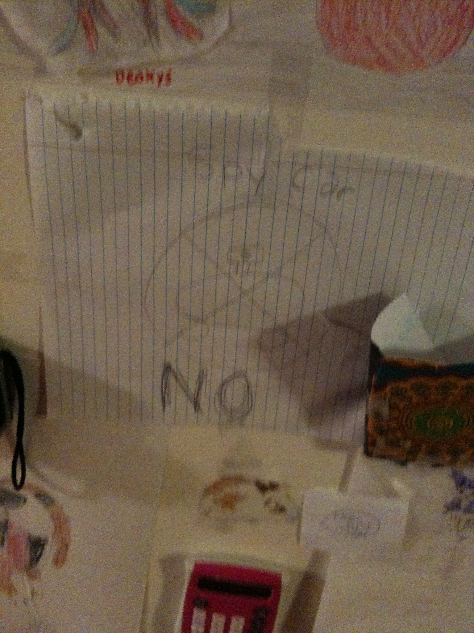 The girls added some additional security measures to their bedroom door.
