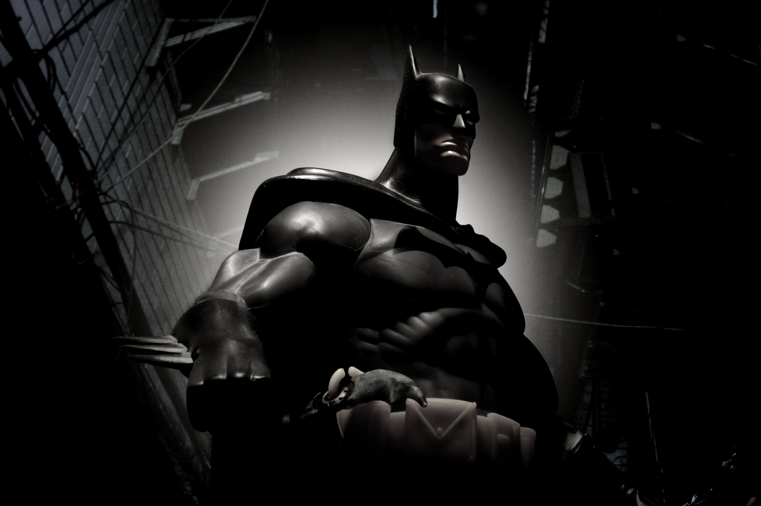Batman-Spotlight.jpg