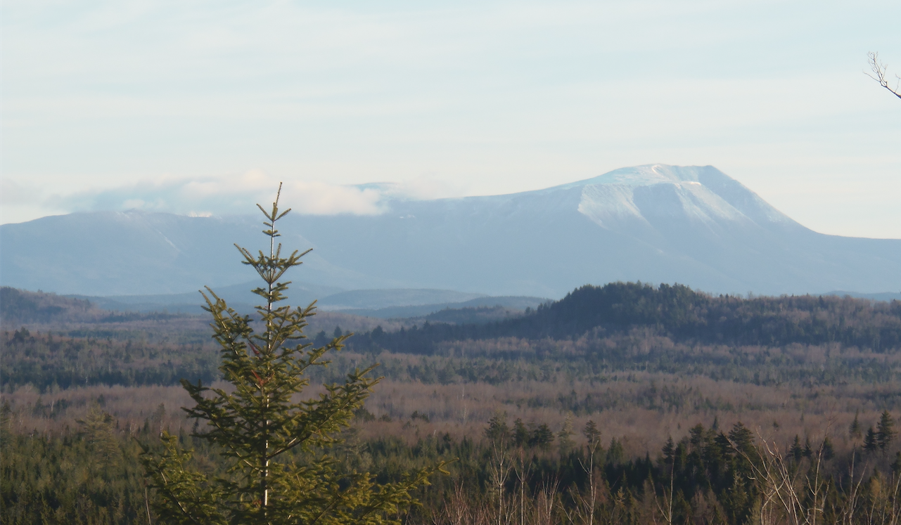 Screen Shot 2018-12-27 at 8.58.41 AM.png