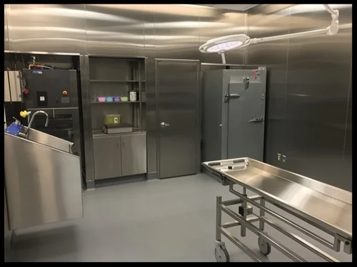 wetlab3.jpg