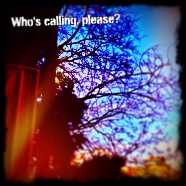 who-is-calling.jpg