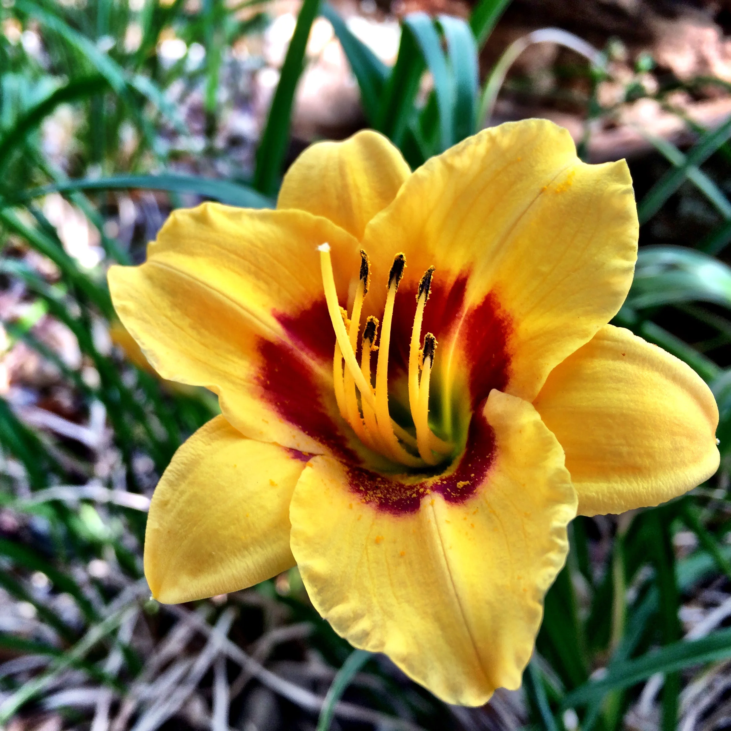 I took this picture outside of The Mental Health Center of Denver right before my first appointment.