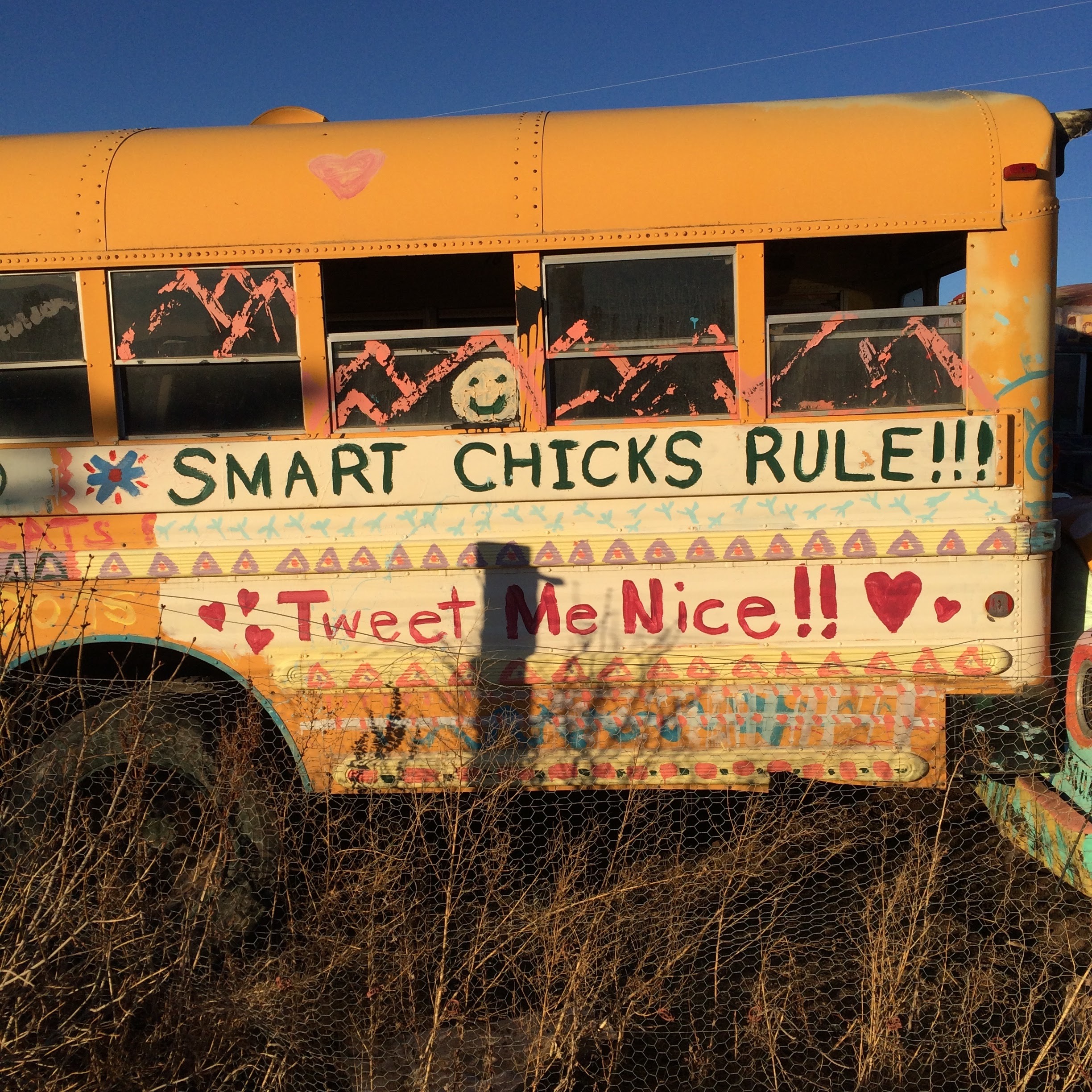 A bus found at Grant Farms in Wellington, CO